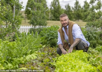 The Beckham's garden, which is David’s pride and joy, is also achingly, impeccably on-trend