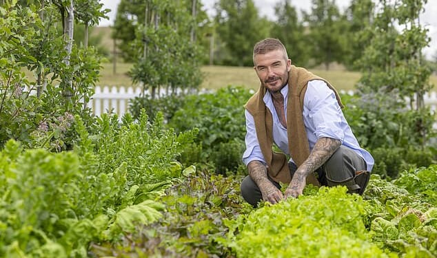 The Beckham's garden, which is David’s pride and joy, is also achingly, impeccably on-trend