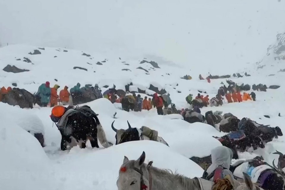 Villagers with oxen and horses ascend a snow-covered Mount Everest to rescue trapped hikers.