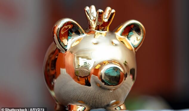Gold piggy: There are thousands of investors who have made the dream of becoming an Isa millionaire a reality