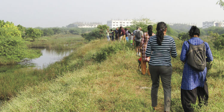 Indian scientist Jayshree Vencatesan awakens a forgotten marsh