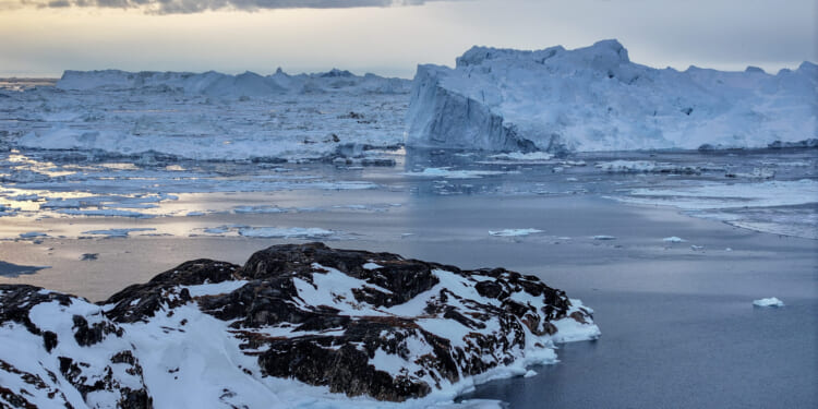 Is Donald Trump a Viking Warlord?