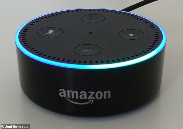 Amazon's brand of 'Echo' smart speakers (pictured) are fitted with Alexa, the company's intelligent virtual voice assistant