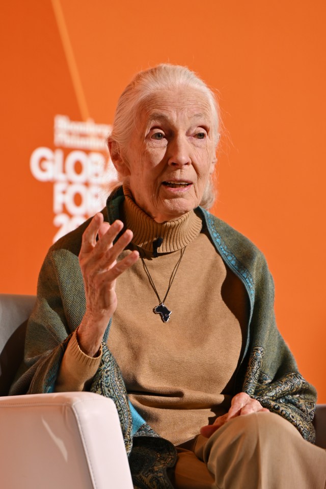 Jane Goodall speaking at the Bloomberg Philanthropies Global Forum 2025.