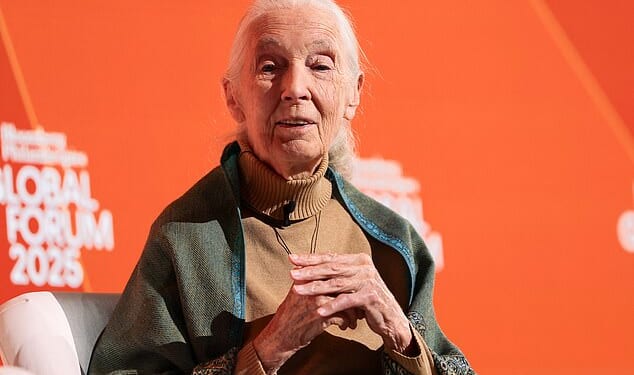 Primatologist Jane Goodall has died of natural causes at the age of 91. She is pictured during a talk in New York last Wednesday