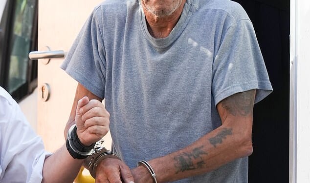 Pictured is Derek Martin, who was accused of murdering Chloe and her husband Josh, 33