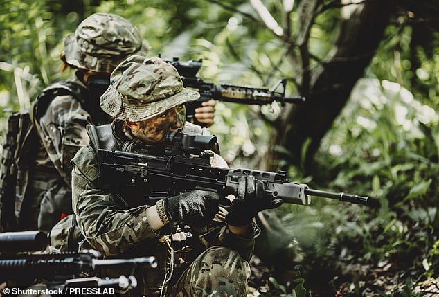 When Labour presented its alternative Troubles Bill, ministers claimed that it included 'protections and safeguards specifically designed and put in place for veterans', but the Government has been forced to admit the IRA could benefit from the same measures (file photo)