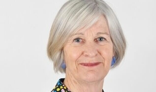 Former senior social worker Annie Hudson is understood to have pulled out of the selection process for a chairman of the Government's grooming gangs inquiry