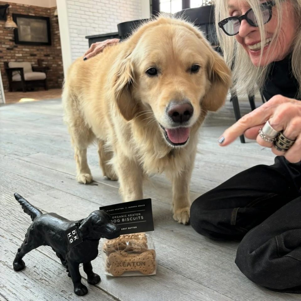 NINTCHDBPICT001030496933