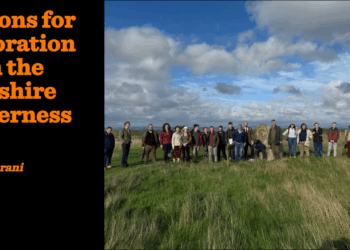 Lessons for restoration from the Wiltshire wilderness | Bijan Omrani