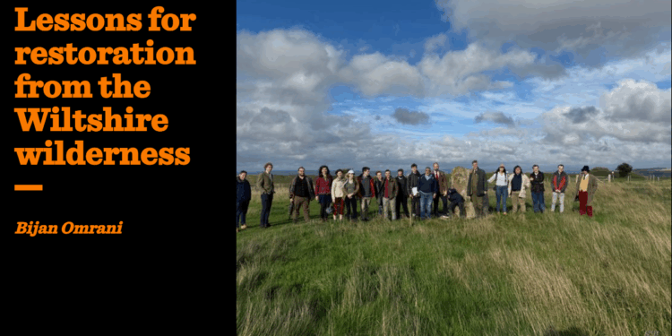 Lessons for restoration from the Wiltshire wilderness | Bijan Omrani
