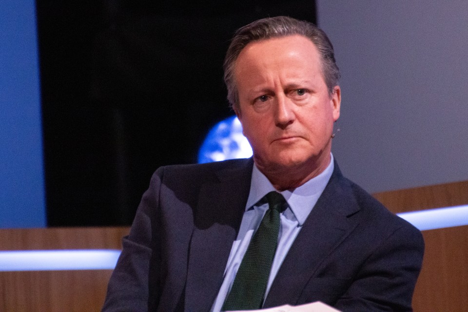 Former UK Prime Minister David Cameron at the Copenhagen Democracy Summit.