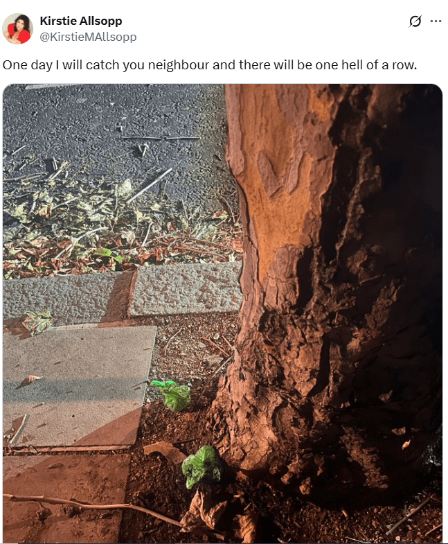 Two bright green dog poo bags discarded at the base of a tree, next to a sidewalk.