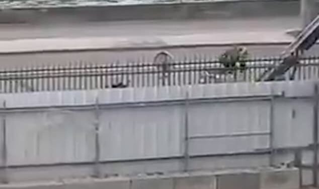 Footage captured the brazen thieves escaping down a ladder before fleeing on scooters