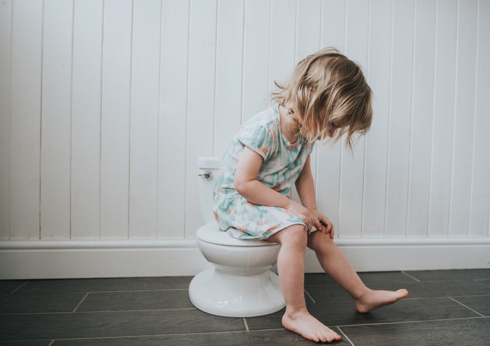 Little girl on a potty.