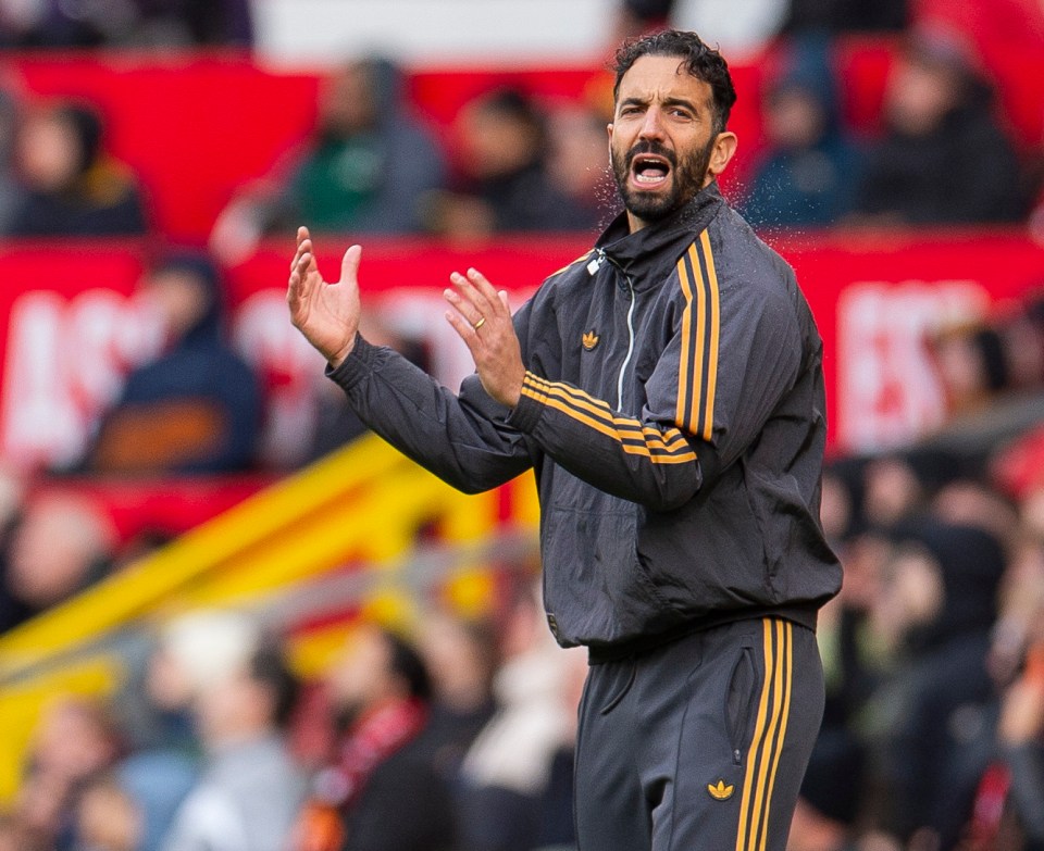 English Premier League - Manchester United vs Sunderland