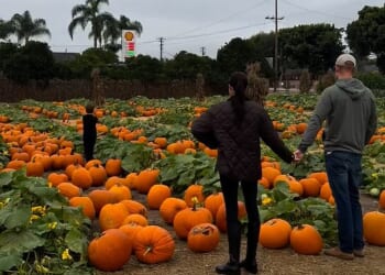 In the footage Meghan dons a pair of black knee-high boots and leggings with a black jacket while Harry opts for a causal look in jeans, a hoodie and a baseball cap. The pair can be seen holding hands