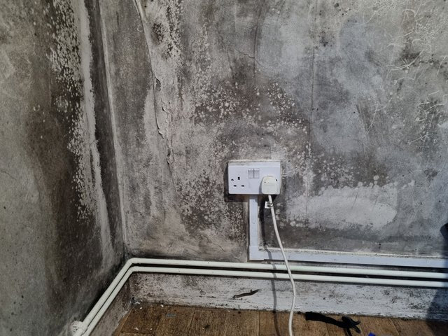 Severe black mould and peeling paint on a wall with an electrical outlet and cord.
