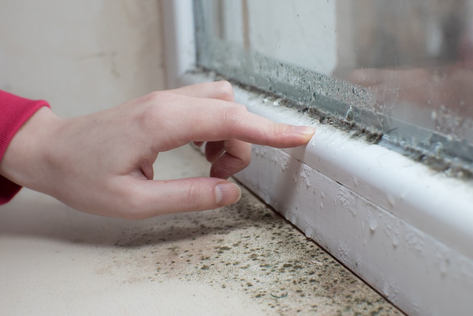 Hand touching black mold and condensation on a windowsill.