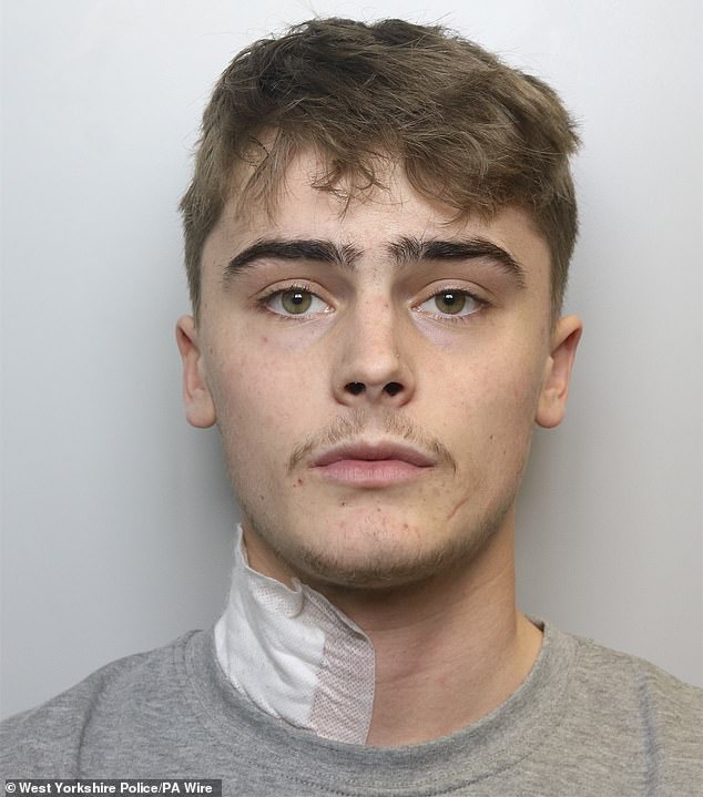 Knife-obsessed Alfie Franco (above) launched the unprovoked attack on Ahmad Al Ibrahim after the teenager brushed past his partner