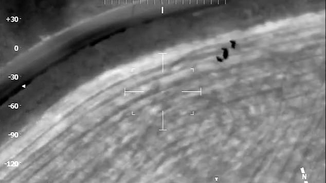 Footage taken from a police helicopter shows Berry and Thompson hiding in the bushes nearby before they were arrested