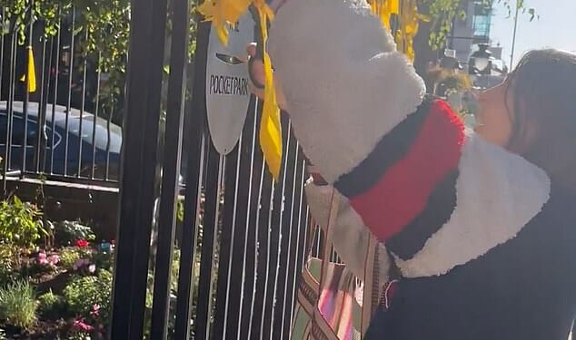 This is the moment furious bystanders confront a woman as she cuts down yellow ribbons for Israeli hostages from a fence in north London