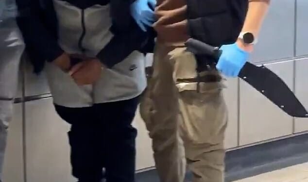 Two teenagers have been charged with weapons offences after a stop-and-search over a 'ticket issue' in London Euston revealed the pair allegedly carrying enormous machetes