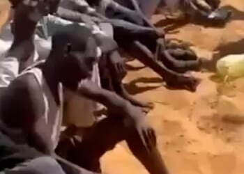 More than 2,000 civilians have been reportedly executed in the last 48 hours in Sudan after the city of El-Fasher was captured by paramilitaries