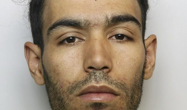 Faida Elhabib, who lives in Luton, had 11 previous convictions for 16 offences, the court heard