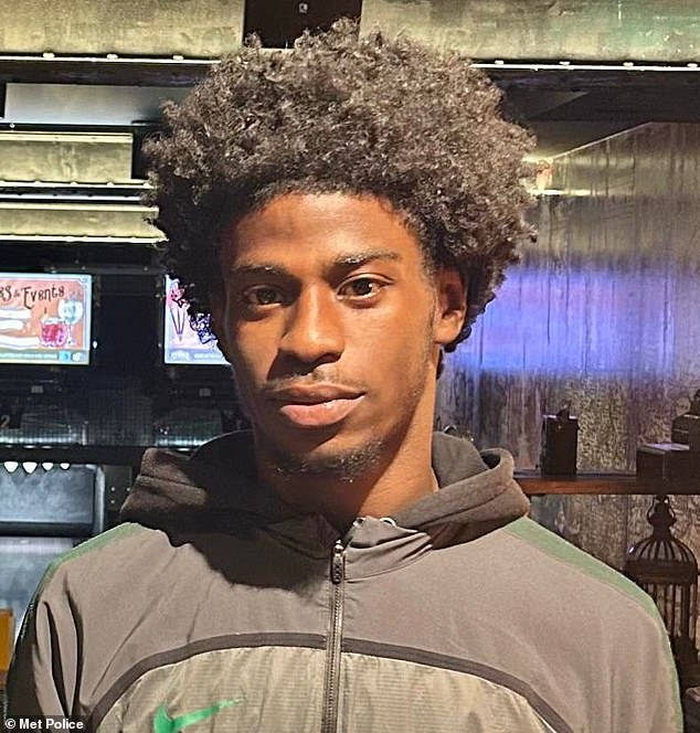 Rinneau Perrineau (pictured) died after being stabbed on Lavender Hill in Wandsworth, south London, on Tuesday October 21