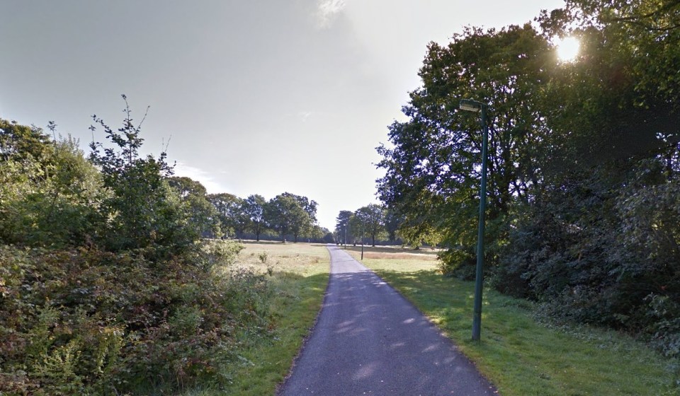 Google Maps view of Southampton Common with a paved path, grass, and trees.