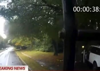 Dashcam video from the commercial truck showed the actor's vehicle hitting a mail box and a tree.
