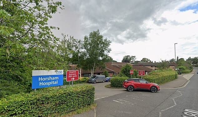 Horsham Hospital has been accused of refusing to treat a child's speech problem because he goes to private school