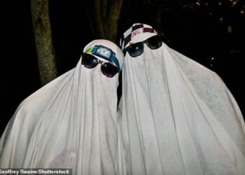 Those most likely to dress up, decorate and watch spooky films for Halloween were generally younger and from the North West, West Midlands, or East of England