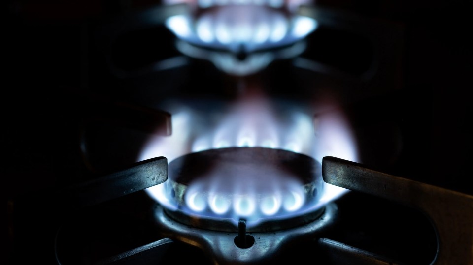 Blue flames on a gas hob.