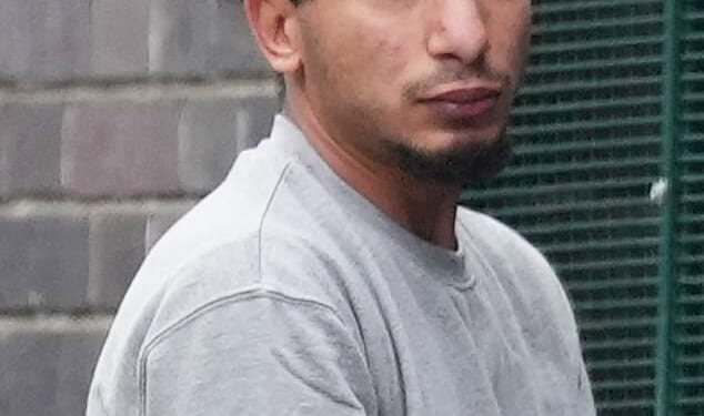 Ibrahim Alshafe, 35, appeared in court yesterday charged with the rape of a woman