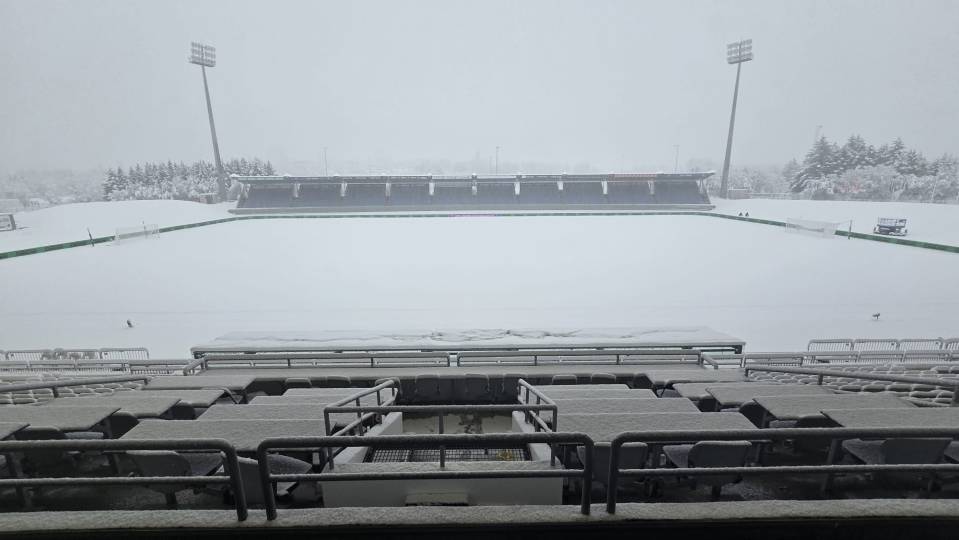 NINTCHDBPICT001034565659