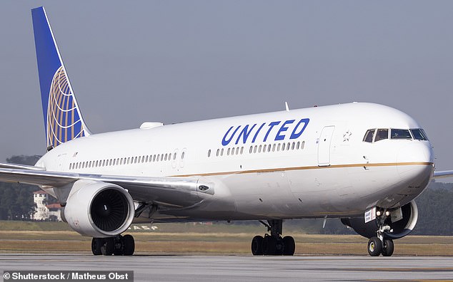 The model claimed that the incident occurred on a United Airlines flight as she was returning home with her nine-year-old son Bowie from Tampa to Los Angeles (stock image)