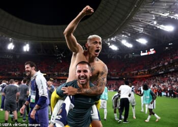 A member of Tottenham's Europa League-winning squad in the summer has retired from playing at the age of 26