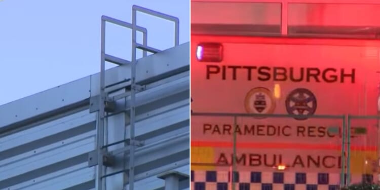 A videographer fell about 50 feet from a scoreboard Saturday night, sustaining critical injuries.