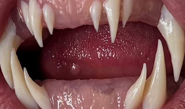 Heidi Klum dropped a hint about this year's Halloween costume ahead of hosting her annual star-studded bash