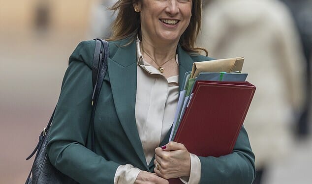 Rachel Reeves (pictured) could hit homeowners with a new mansion tax costing thousands of pounds a year as part of a class war plan being considered for next month's Budget