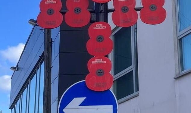 The Hoyland Remembrance and Parade Group (HRPG) in Barnsley, South Yorkshire, have said new requirements issued by the Barnsley council mean they can no longer hang poppies on lampposts