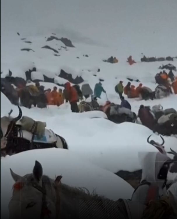 Rescuers and yaks in a snow-covered mountain area.