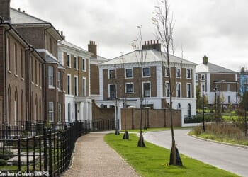 Pictured: The trees which have already been planted in Poundbury, Dorset