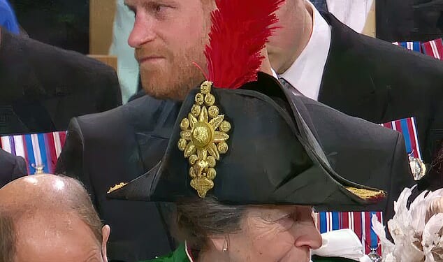 As King Charles's Coronation got under way on May 6, 2023, it looked as though a feather on Princess Anne's headpiece was almost entirely obscuring Harry's view. At the time, many speculated whether the positioning of the feather was deliberate