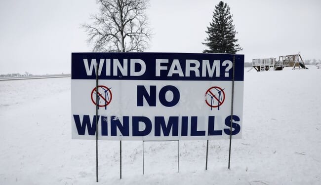 Suffer the Wee Birds and Bees – HotAir