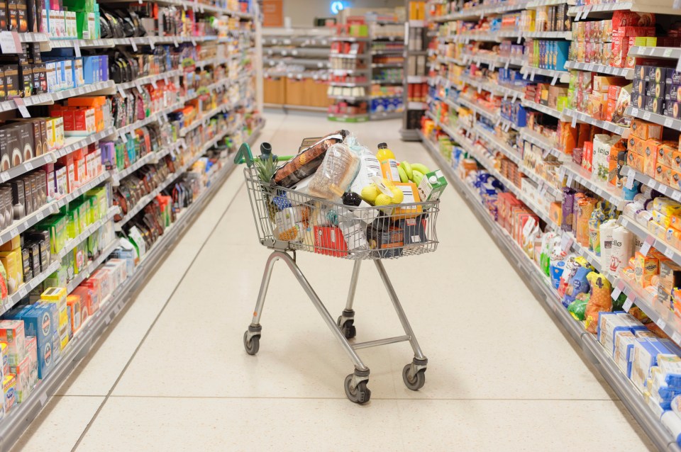 Shopping cart filled with groceries in a supermarket aisle.