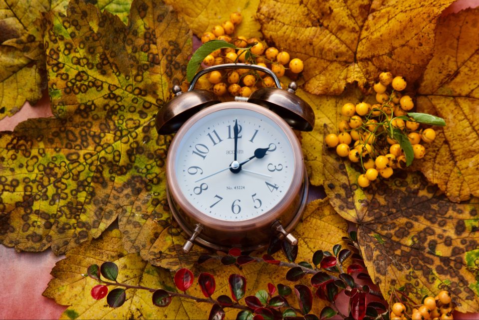 An alarm clock showing 2 AM on a bed of fall leaves and berries, representing clocks going back one hour for autumn.