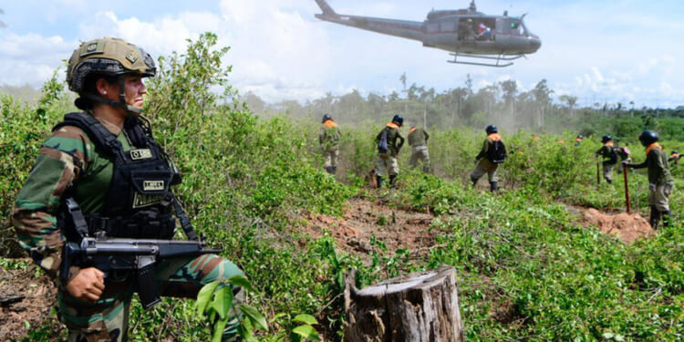 The best check on cocaine trafficking